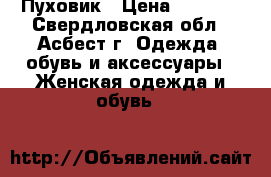 Пуховик › Цена ­ 2 500 - Свердловская обл., Асбест г. Одежда, обувь и аксессуары » Женская одежда и обувь   